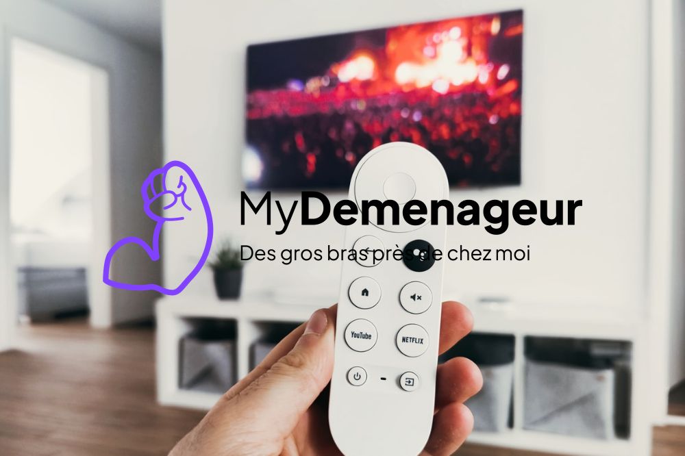Petit reportage MyDemenageur au JT 20h de France 2 Petit reportage MyDemenageur au JT 20h de France 2