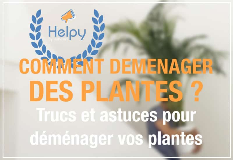 comment-demenager-des-plantes