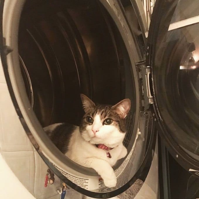 chat machine a laver