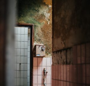 Nettoyage de moisissures Nettoyage de moisissures