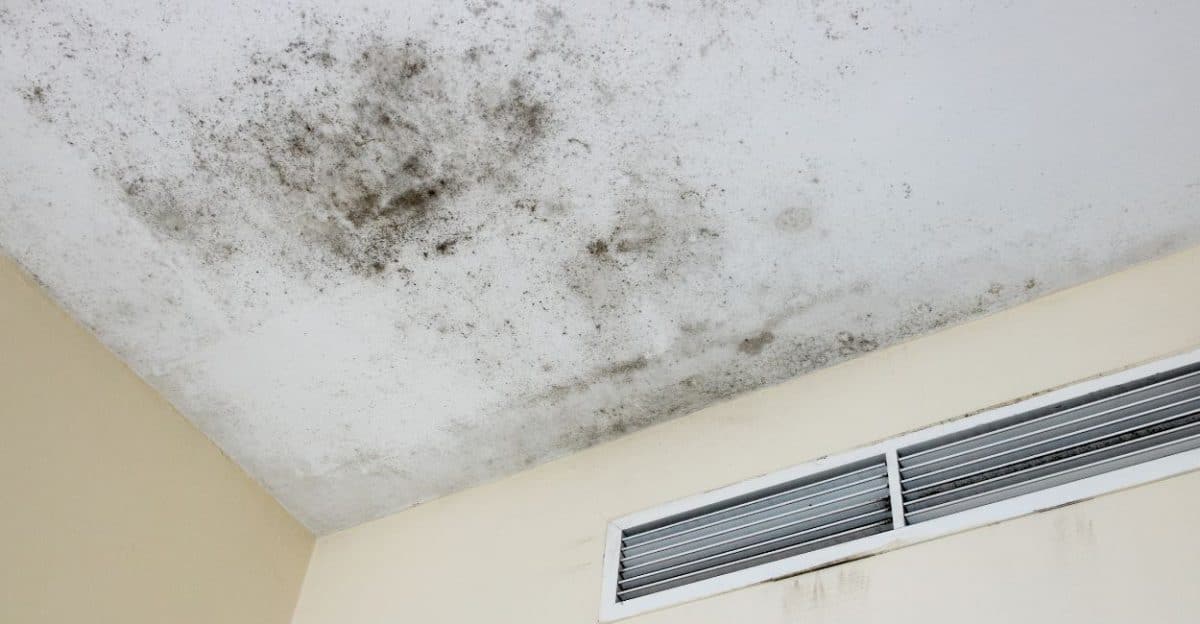 Comment traiter la moisissure et l'humidité au plafond ? - Qualité