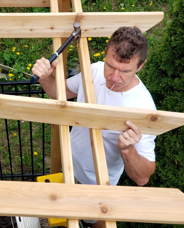 installation d'une pergola en bois pergola