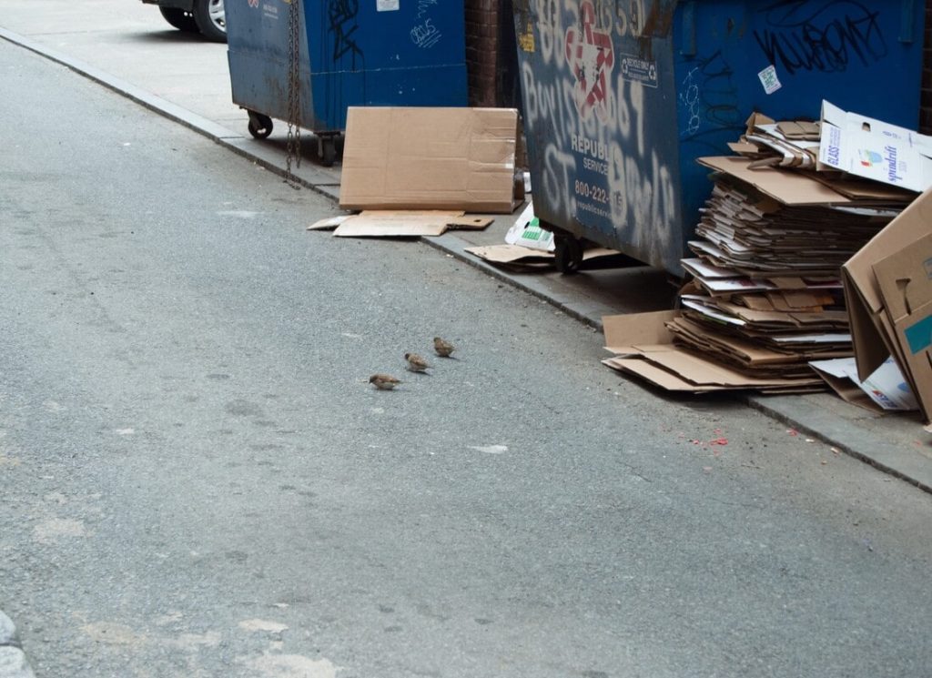 Nettoyage fin de chantier Fin de chantier