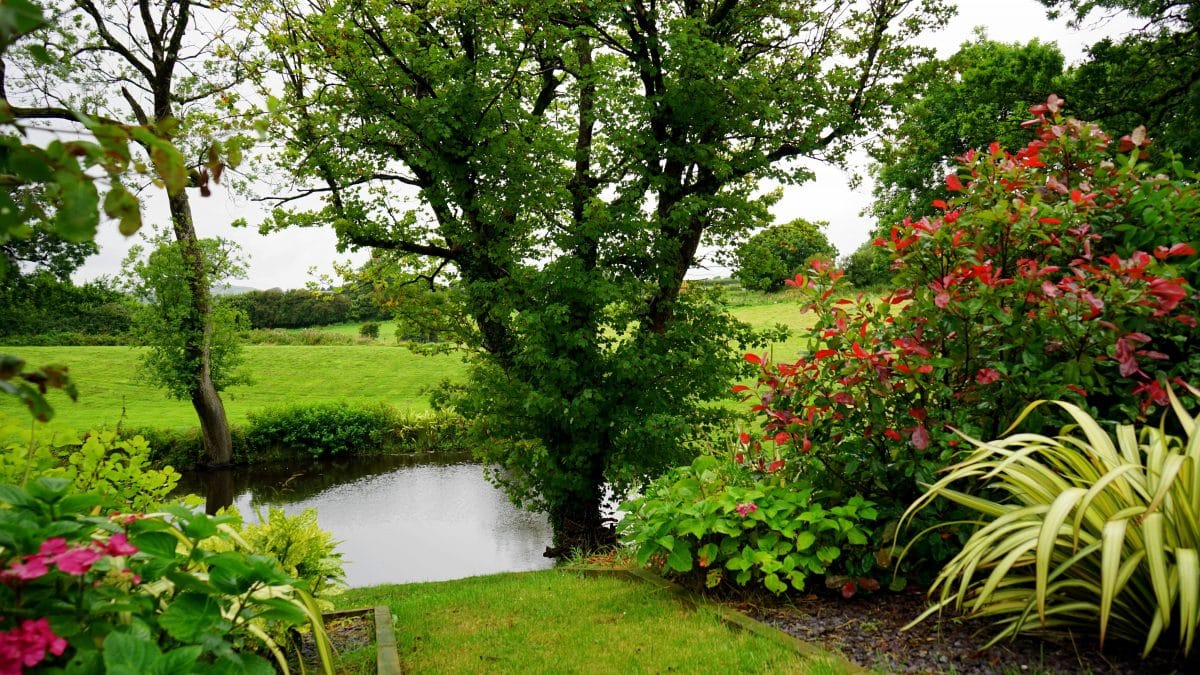un jolie jardin un jolie jardin
